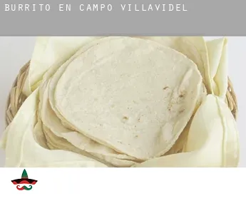 Burrito en  Campo de Villavidel