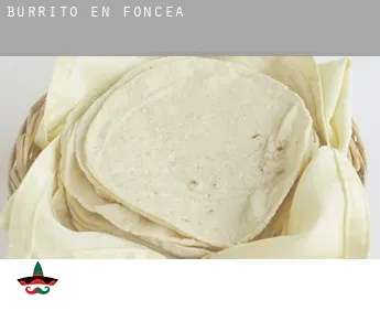 Burrito en  Foncea