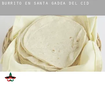 Burrito en  Santa Gadea del Cid
