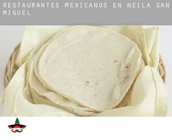 Restaurantes mexicanos en  Neila de San Miguel