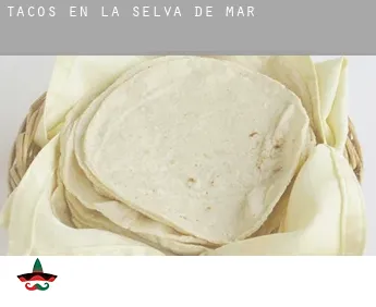 Tacos en  la Selva de Mar