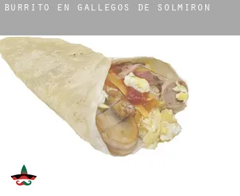 Burrito en  Gallegos de Solmirón