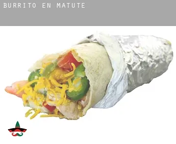 Burrito en  Matute