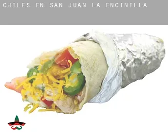 Chiles en  San Juan de la Encinilla