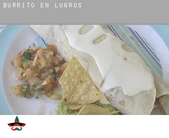 Burrito en  Lugros