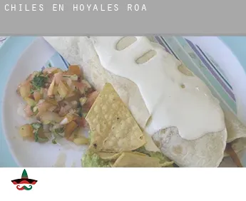 Chiles en  Hoyales de Roa