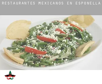 Restaurantes mexicanos en  Esponellà