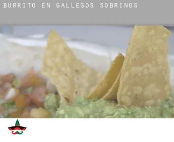 Burrito en  Gallegos de Sobrinos