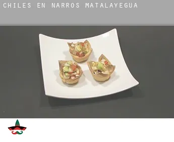 Chiles en  Narros de Matalayegua
