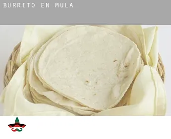 Burrito en  Mula