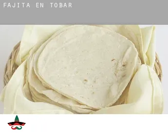 Fajita en  Tobar