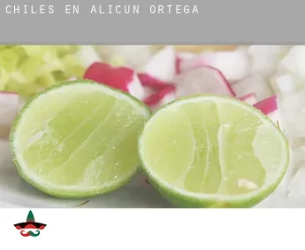 Chiles en  Alicún de Ortega