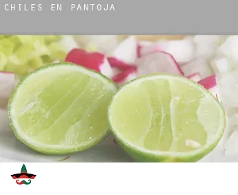 Chiles en  Pantoja