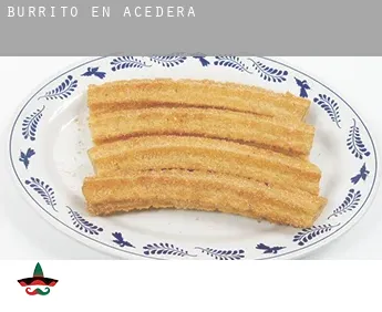 Burrito en  Acedera