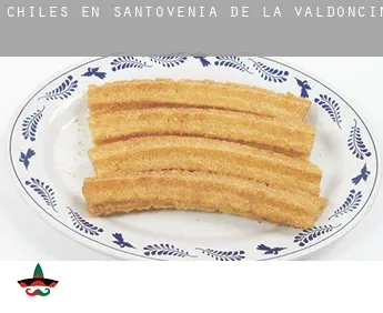 Chiles en  Santovenia de la Valdoncina