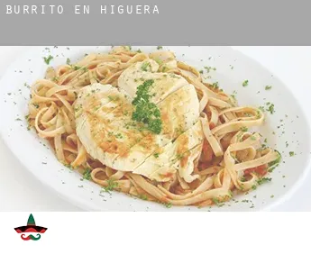 Burrito en  Higuera