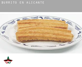 Burrito en  Alicante