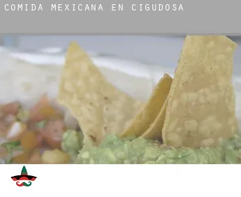 Comida mexicana en  Cigudosa