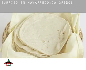 Burrito en  Navarredonda de Gredos