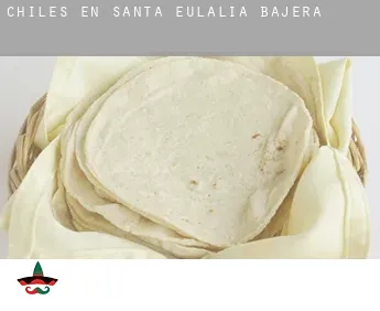 Chiles en  Santa Eulalia Bajera