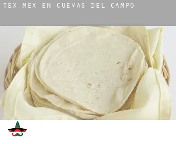 Tex mex en  Cuevas del Campo