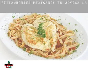 Restaurantes mexicanos en  Joyosa (La)