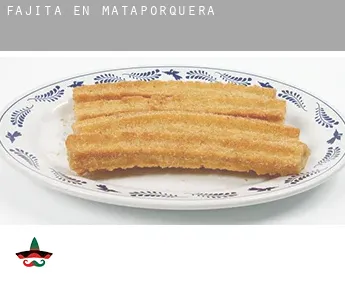 Fajita en  Mataporquera