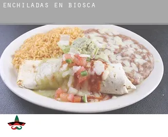 Enchiladas en  Biosca