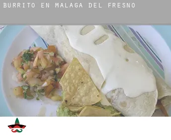 Burrito en  Málaga del Fresno