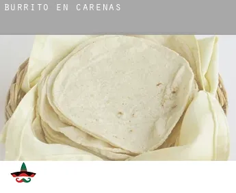 Burrito en  Carenas