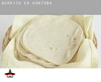 Burrito en  Hontoba