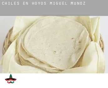 Chiles en  Hoyos de Miguel Muñoz