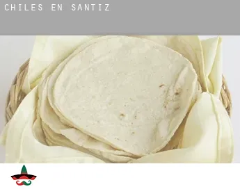 Chiles en  Santiz