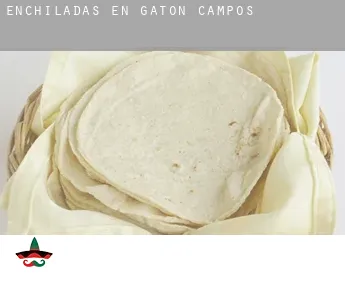 Enchiladas en  Gatón de Campos