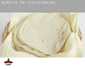 Burrito en  Villaconejos