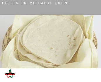 Fajita en  Villalba de Duero