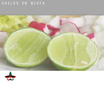 Chiles en  Biota